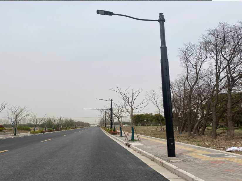 罗城仫佬族自治县上海综合杆 太阳能路灯工程